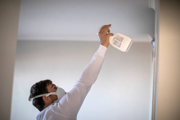 Best Water Damage Restoration  in Port Orange, FL